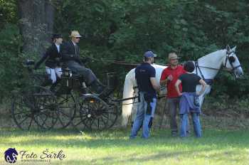 Heřmanův Městec 2018 - drezura