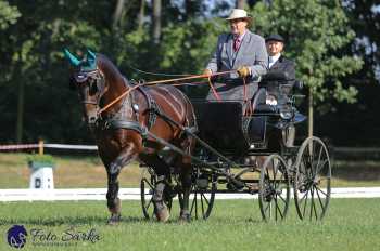 Heřmanův Městec 2018 - drezura