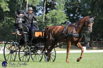 Heřmanův Městec 2018 - drezura