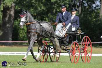 Heřmanův Městec 2018 - drezura