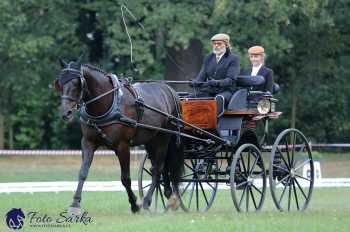 Heřmanův Městec 2018 - drezura