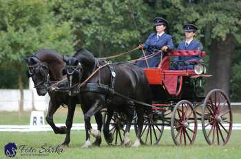 Heřmanův Městec 2018 - drezura