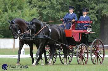 Heřmanův Městec 2018 - drezura