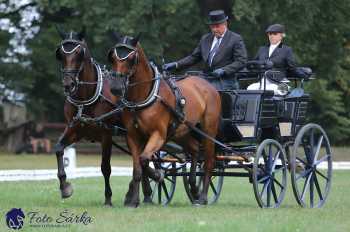 Heřmanův Městec 2018 - drezura