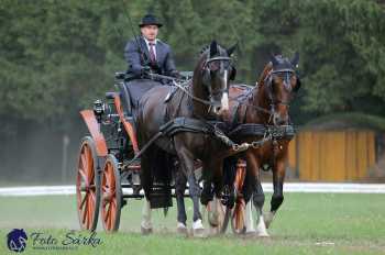Heřmanův Městec 2018 - drezura