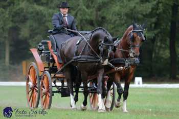 Heřmanův Městec 2018 - drezura