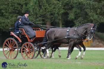 Heřmanův Městec 2018 - drezura