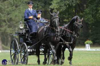 Heřmanův Městec 2018 - drezura