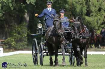 Heřmanův Městec 2018 - drezura