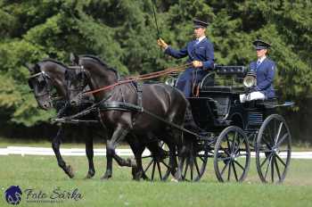 Heřmanův Městec 2018 - drezura