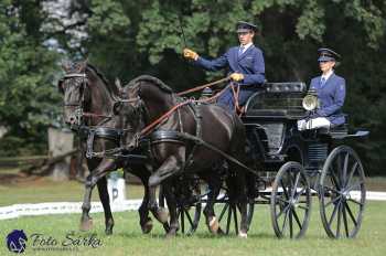 Heřmanův Městec 2018 - drezura