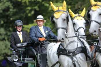 Heřmanův Městec 2018 - drezura