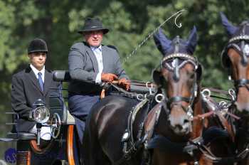 Heřmanův Městec 2018 - drezura