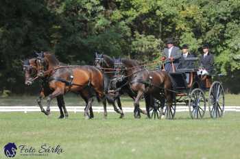 Heřmanův Městec 2018 - drezura