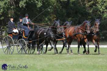 Heřmanův Městec 2018 - drezura
