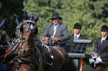 Heřmanův Městec 2018 - drezura