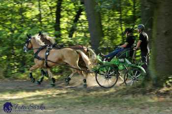Heřmanův Městec 2018 - maraton