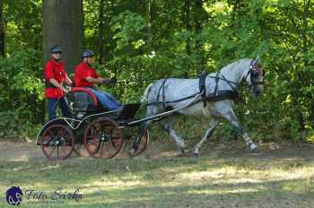Heřmanův Městec 2018 - maraton