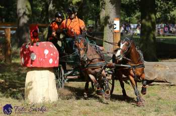 Heřmanův Městec 2018 - maraton