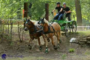 Heřmanův Městec 2018 - maraton
