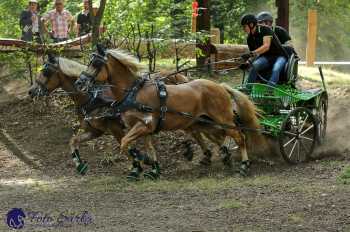 Heřmanův Městec 2018 - maraton