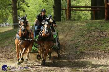 Heřmanův Městec 2018 - maraton