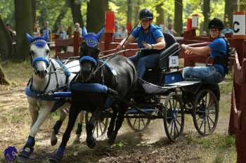 Heřmanův Městec 2018 - maraton