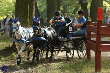 Heřmanův Městec 2018 - maraton