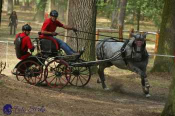 Heřmanův Městec 2018 - maraton