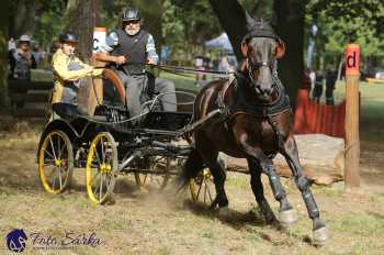 Heřmanův Městec 2018 - maraton