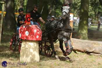 Heřmanův Městec 2018 - maraton