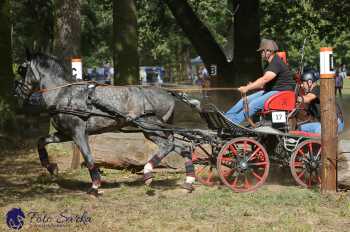 Heřmanův Městec 2018 - maraton
