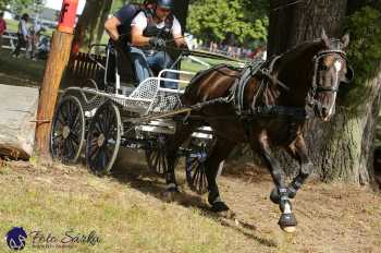 Heřmanův Městec 2018 - maraton