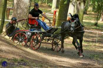 Heřmanův Městec 2018 - maraton
