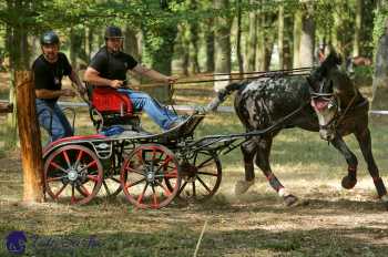 Heřmanův Městec 2018 - maraton