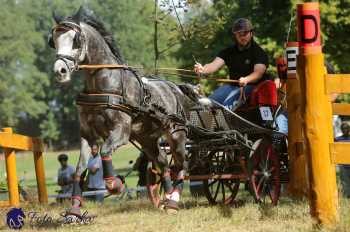 Heřmanův Městec 2018 - maraton