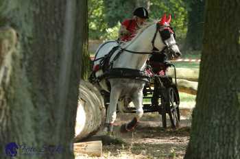 Heřmanův Městec 2018 - maraton