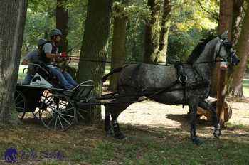 Heřmanův Městec 2018 - maraton