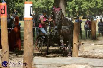 Heřmanův Městec 2018 - maraton