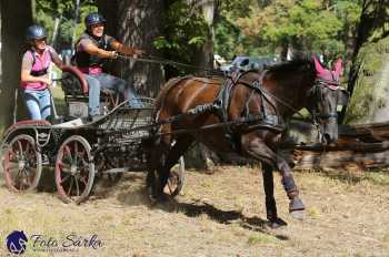 Heřmanův Městec 2018 - maraton