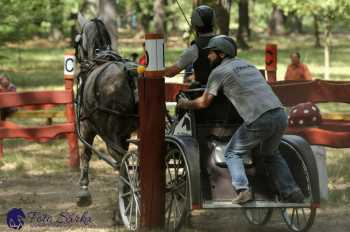 Heřmanův Městec 2018 - maraton