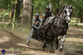 Heřmanův Městec 2018 - maraton