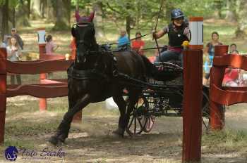 Heřmanův Městec 2018 - maraton