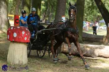 Heřmanův Městec 2018 - maraton