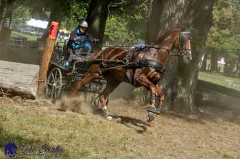 Heřmanův Městec 2018 - maraton