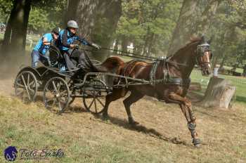 Heřmanův Městec 2018 - maraton