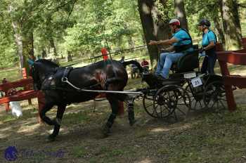 Heřmanův Městec 2018 - maraton
