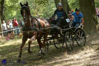 Heřmanův Městec 2018 - maraton
