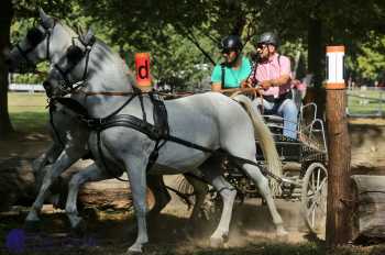 Heřmanův Městec 2018 - maraton