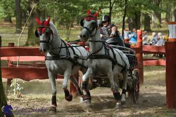 Heřmanův Městec 2018 - maraton